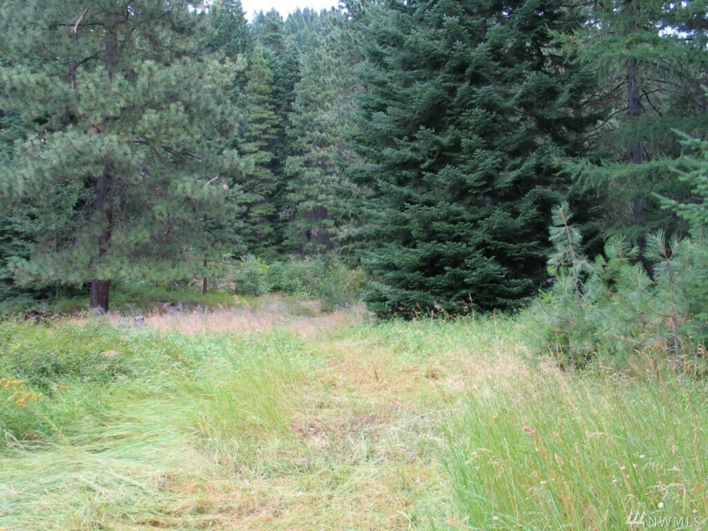 Property Photo:  0 Hummingbird Lane  WA 98922 