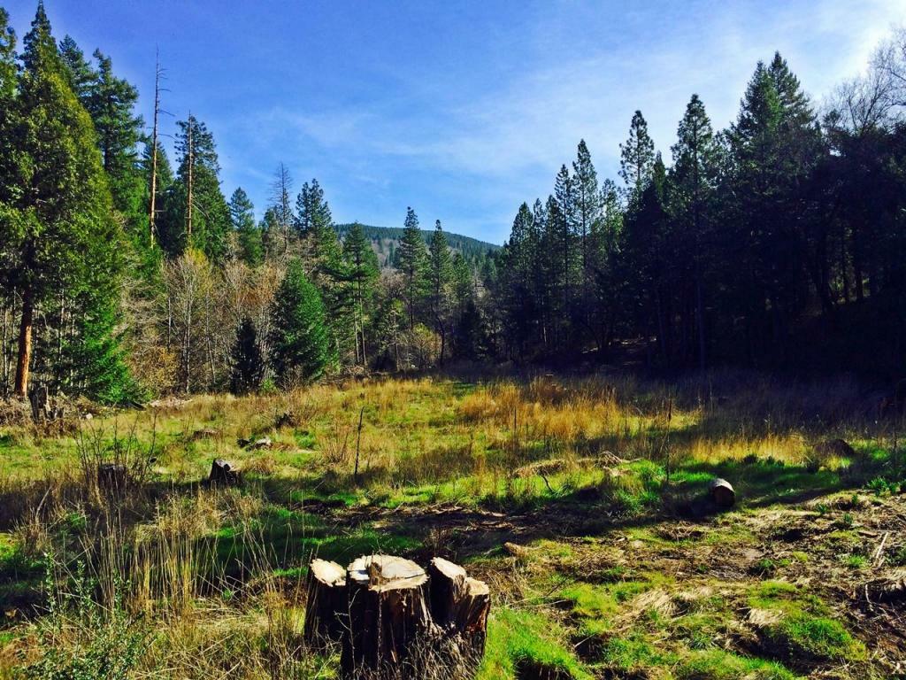 Property Photo:  41ac Manti Rd  CA 96084 