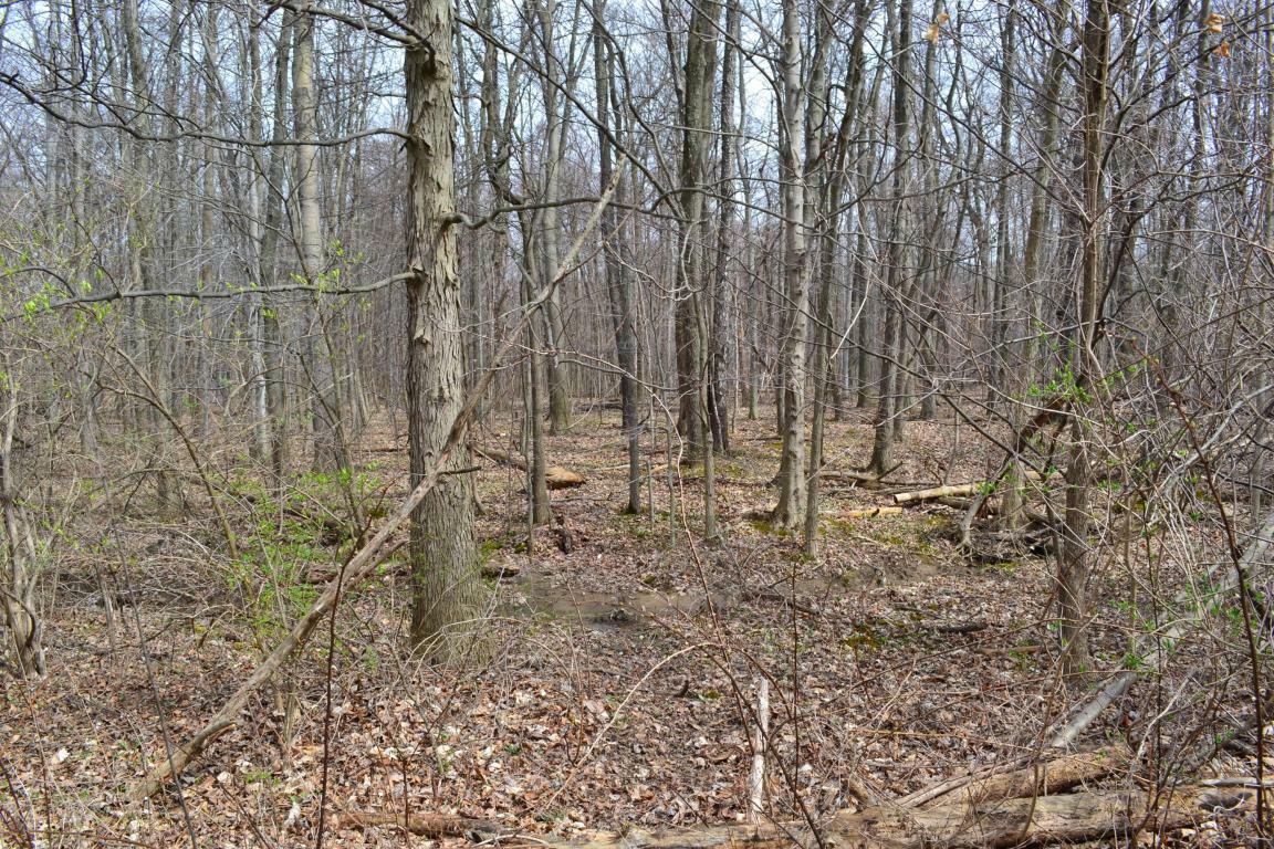 Property Photo: 251 Stonesthrow Drive OH 43001