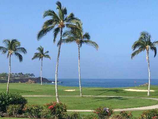 Property Photo: 68-1050 Mauna Lani Point Dr E105 HI 96743