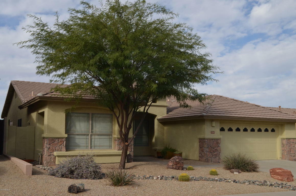 Property Photo:  11448 S Coolwater Drive  AZ 85338 