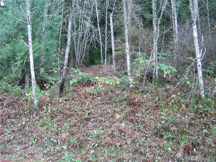 Property Photo:  341 W Alder St  WA 98284 