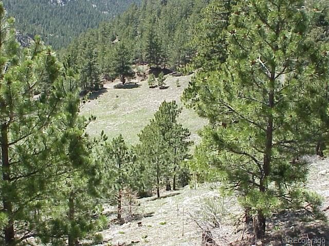 Property Photo: 0 Lefthand Canyon Drive CO 80455