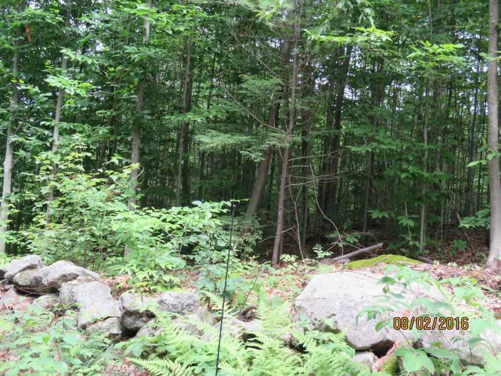 Property Photo: R14 L11-A1 Lockes Hill Road NH 03234