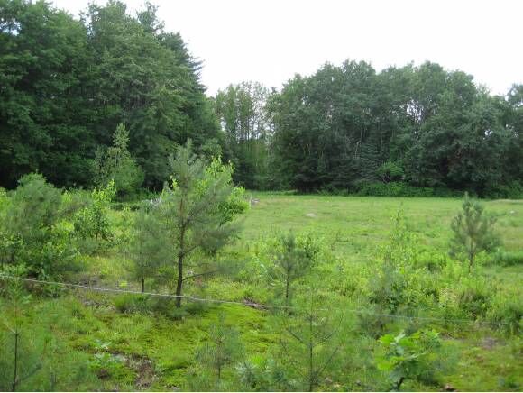 Property Photo:  4-32 Spofford Road  NH 03032 