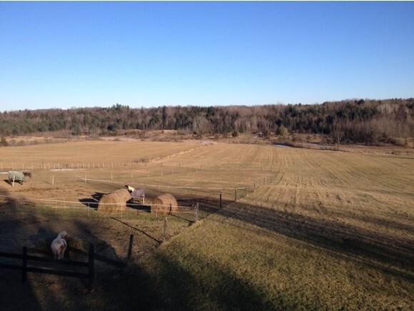Property Photo: 2225 Spear Street VT 05445