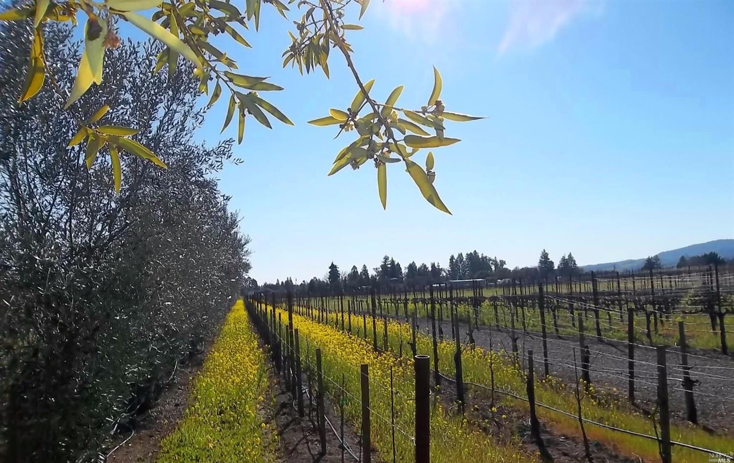 Property Photo:  455 Limerick Lane  CA 95448 