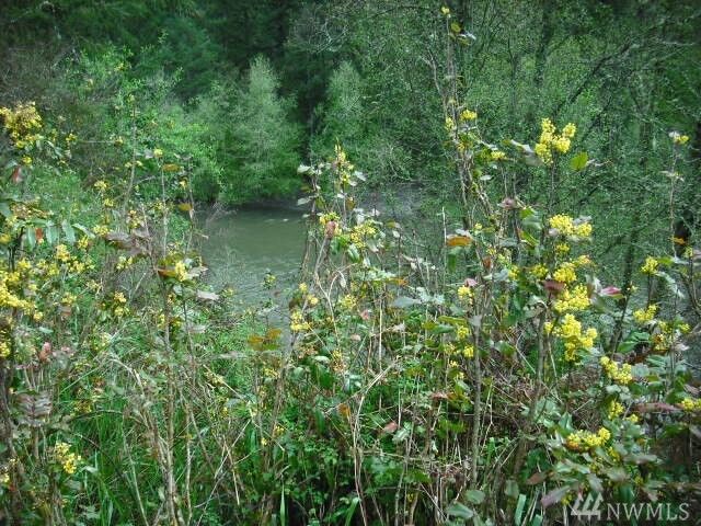 Property Photo: 8534 Thuja Ave SE WA 98597