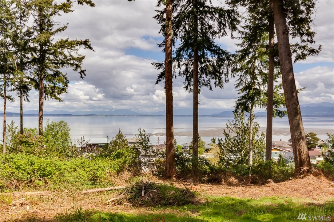 Property Photo: 343 Tillicum Way WA 98282