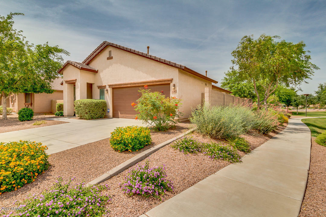 Property Photo:  616 E Trellis Road  AZ 85140 