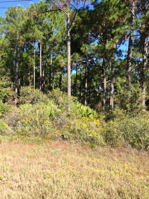 Property Photo: 00 Frankfort Street FL 32566
