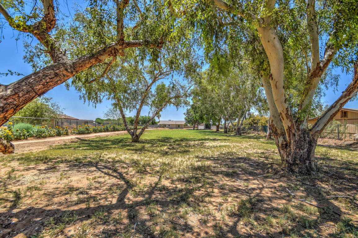 Property Photo:  26220 S Lemon Avenue  AZ 85142 