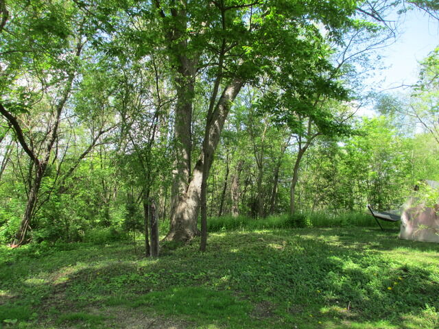 Property Photo:  38169 N Harold Place  IL 60081 