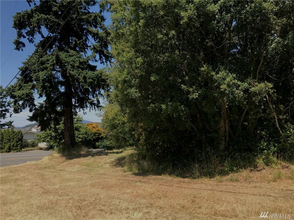 Property Photo:  Lot 9-10 Hartford Ave  WA 98221 