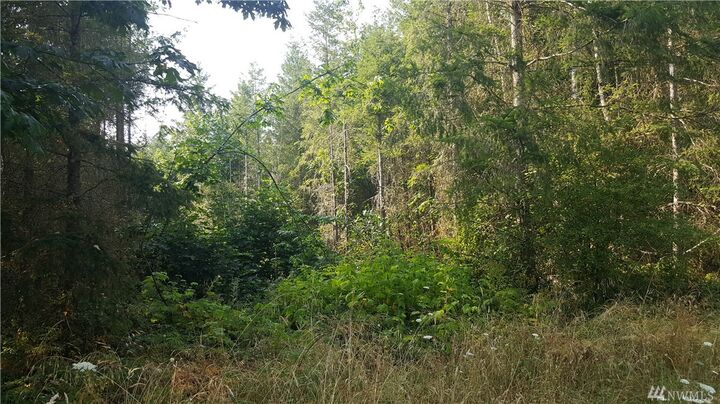 Property Photo:  14235 Rainier View Dr SE  WA 98597 