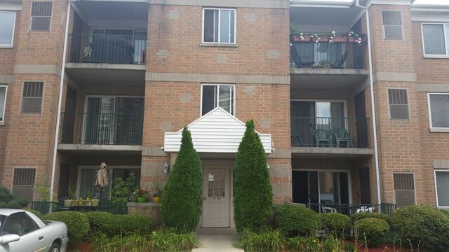 Property Photo: 5351 East River Road 802 IL 60656