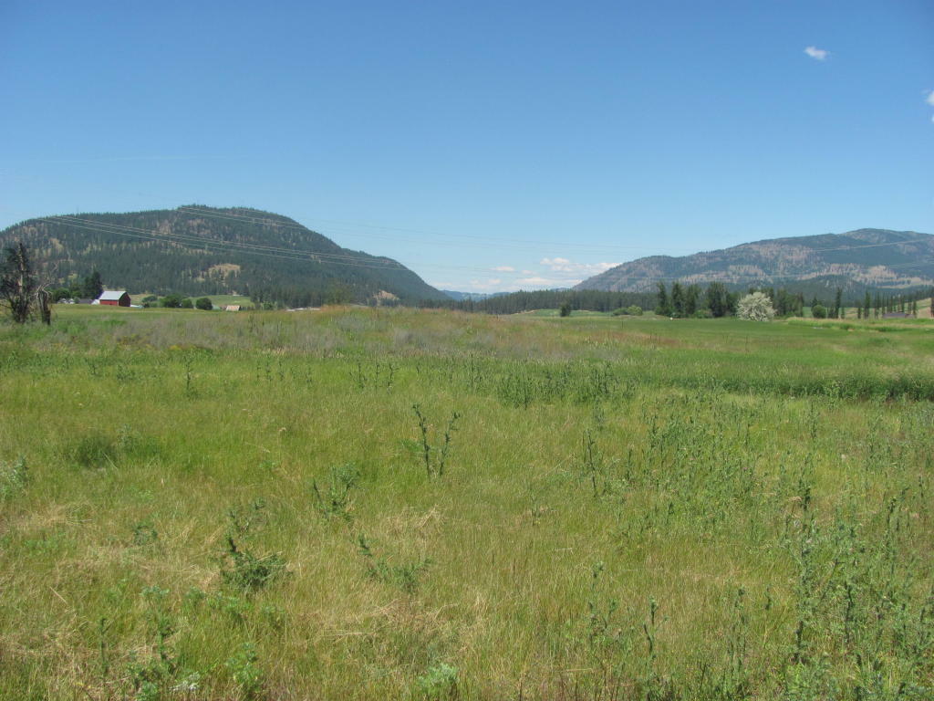 Property Photo:  254 Graham Rd  WA 99114 