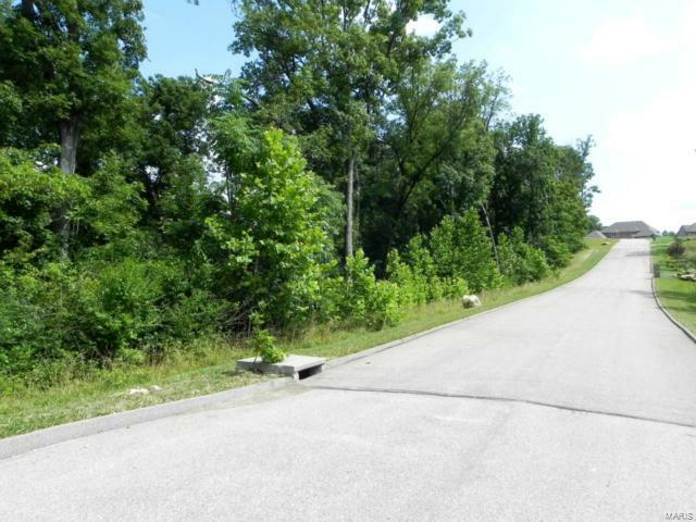 Property Photo: 15 Diamond Valley Drive MO 63049