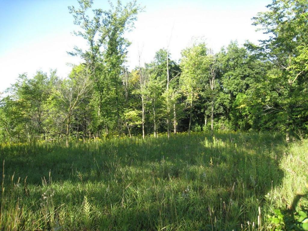 Property Photo:  N3380 Turkey View Ct  WI 53010 