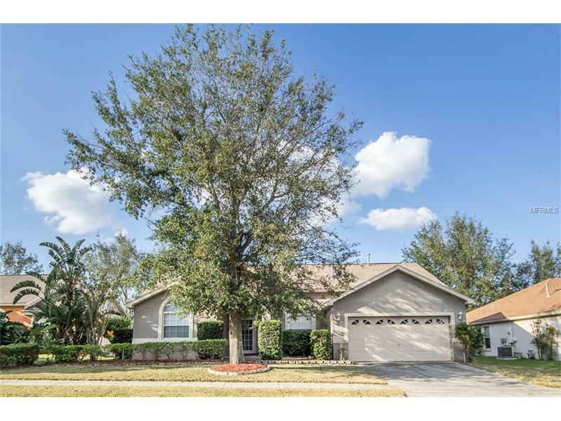 Property Photo:  2706 Pine Shadow Lane  FL 34711 