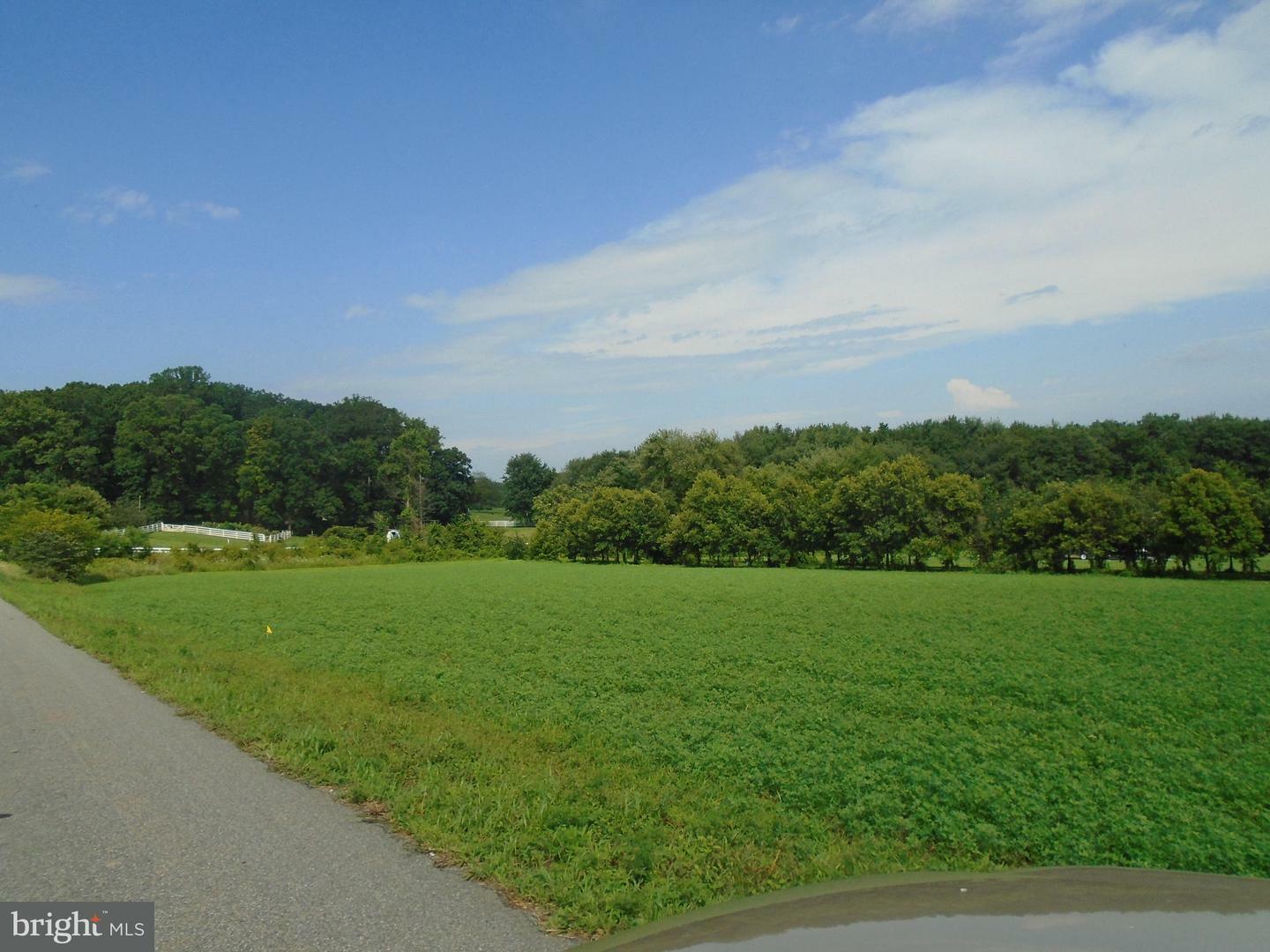 Property Photo:  990 Rock Springs Road  MD 21918 