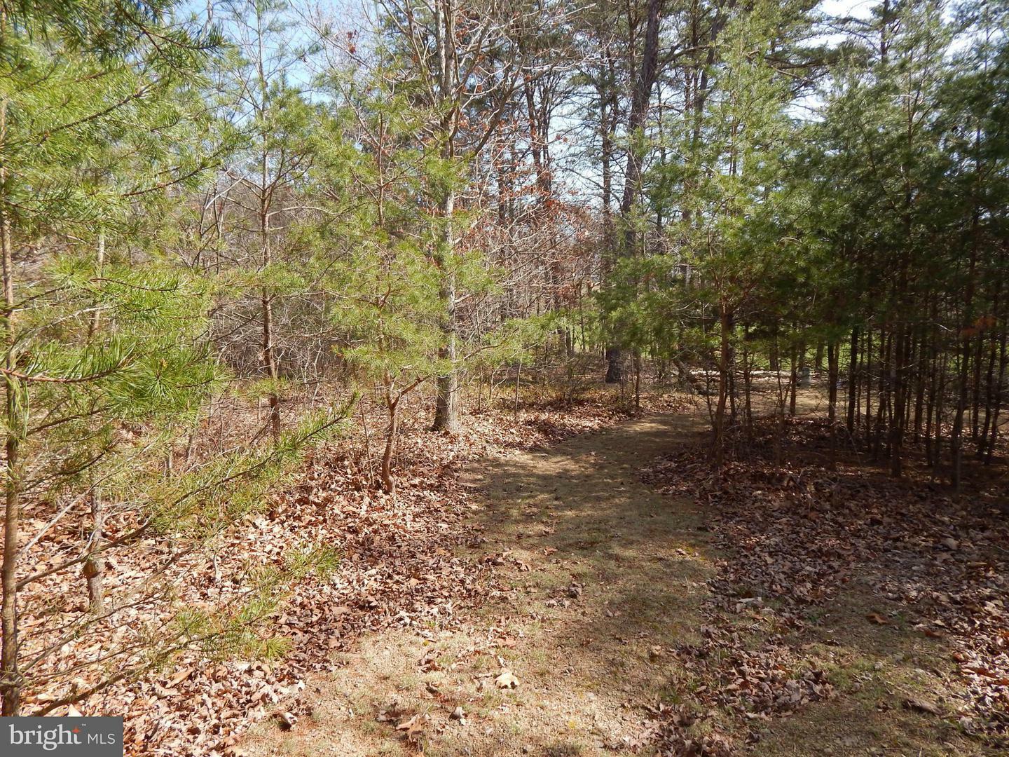 Property Photo:  31 Megans Terrace  WV 25411 