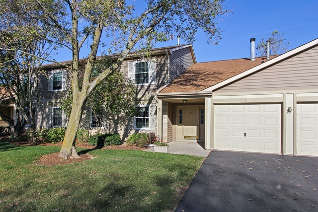 Property Photo:  221 Brett Circle C  IL 60084 