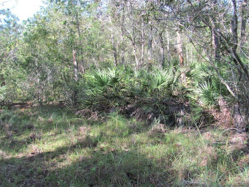 Property Photo:  1755 Old River Trail  FL 32766 