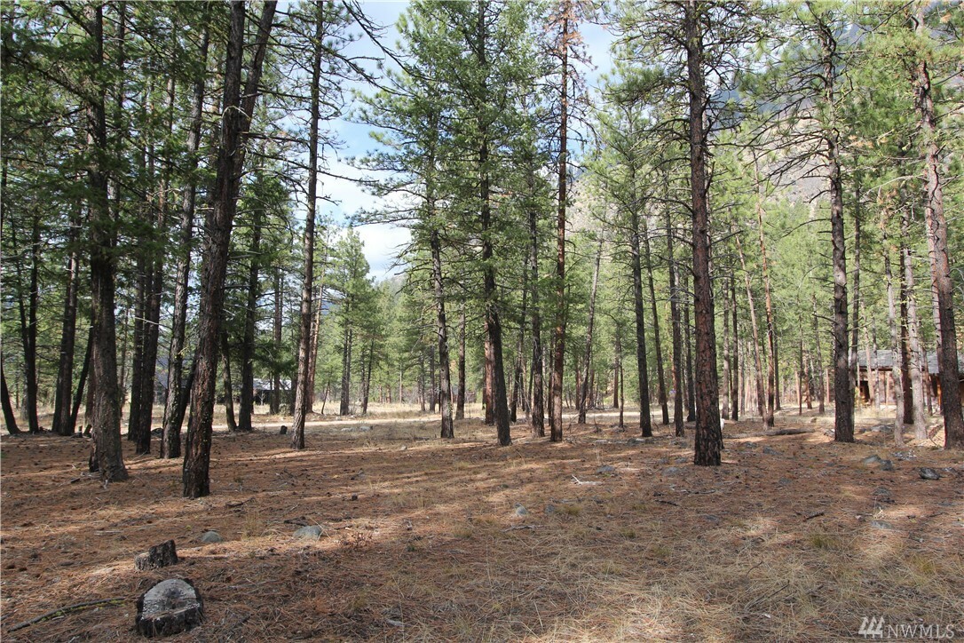 Property Photo:  33 Last Chance Rd  WA 98833 