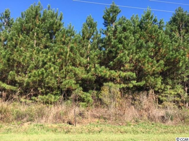 Property Photo:  Lot 19 Highway 777  SC 29569 