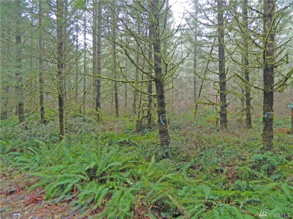 Property Photo:  1 Xxx  408th Street E  WA 98580 