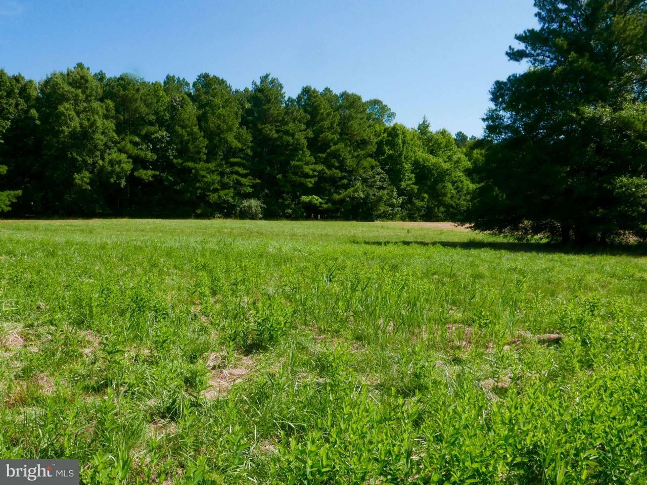 Property Photo:  Boh Brooks Road Parcel 114  MD 21673 