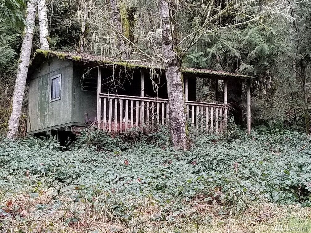 Property Photo:  0 Winston Creek  WA 98564 