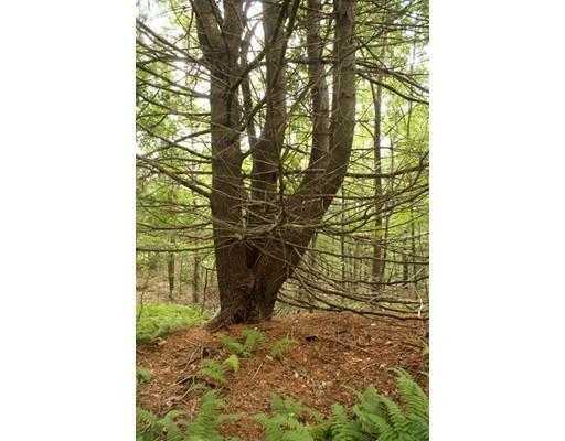 Property Photo: 8 Wauwinet Road MA 01005