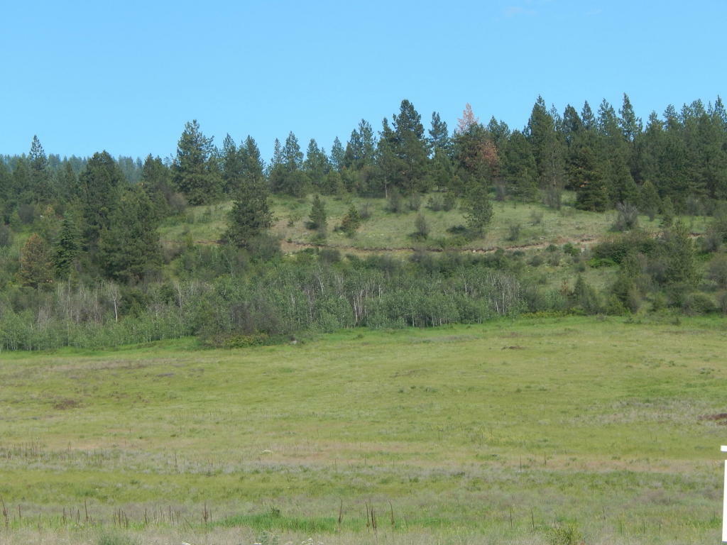 Property Photo:  5787 Fruitland Valley Rd  WA 99129 