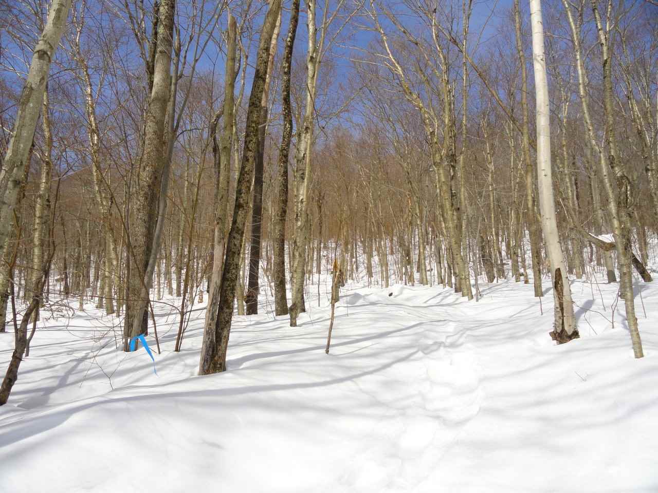 Property Photo:  3275 Camels Hump Road  VT 05462 