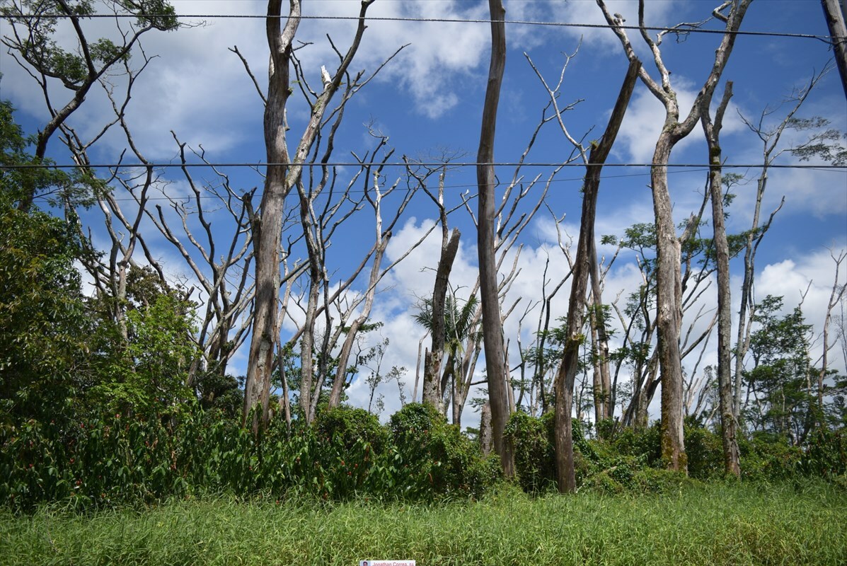 Property Photo:  Ginger Ln  HI 96778 
