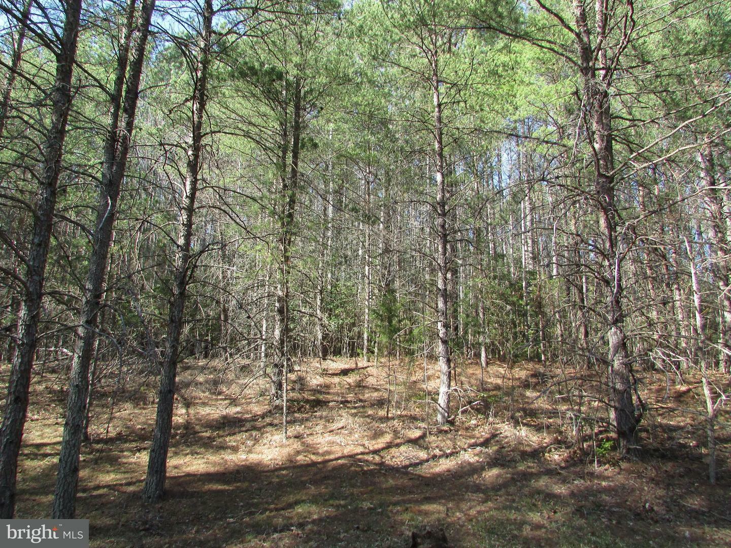 Property Photo:  7031 Block House Road  VA 22551 