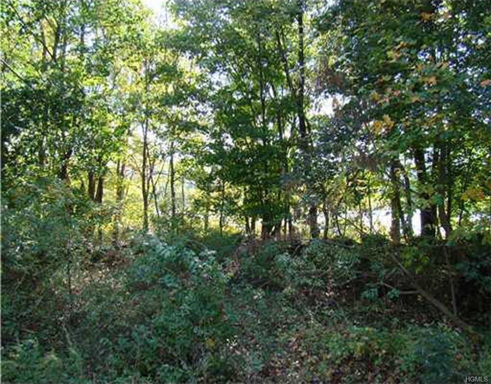 Property Photo: Old Dutch Hollow Road NY 10925