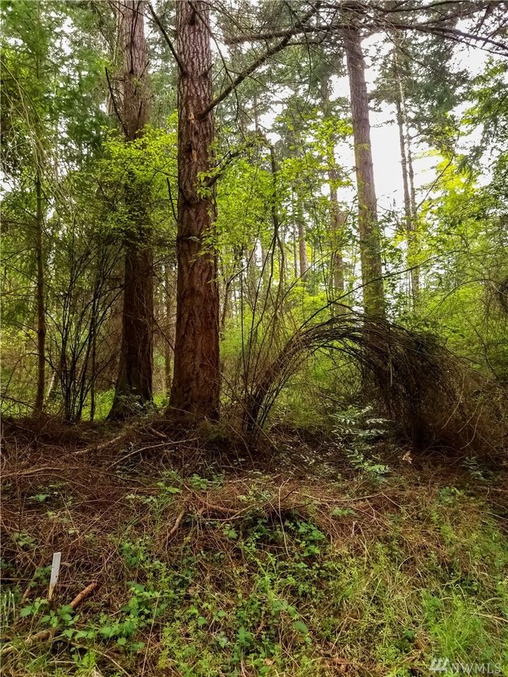 Property Photo: 0 NE Pennington Lp WA 98239