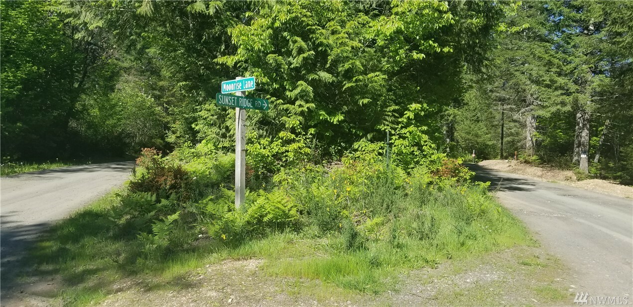 Property Photo: 1234 Sunset Ridge Rd WA 98592