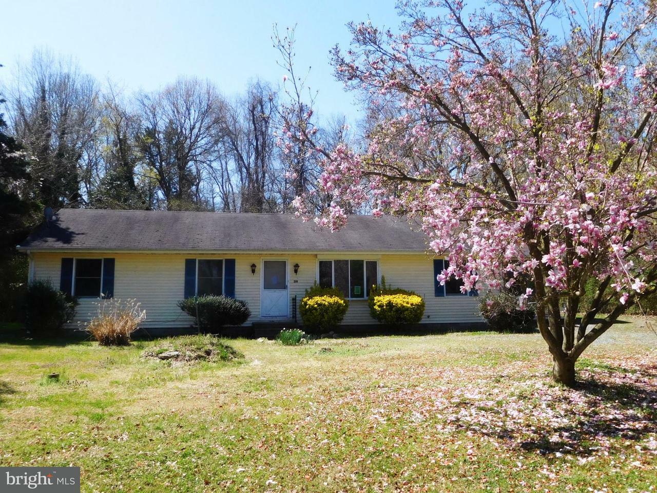 Property Photo: 319 Rosin Drive MD 21620