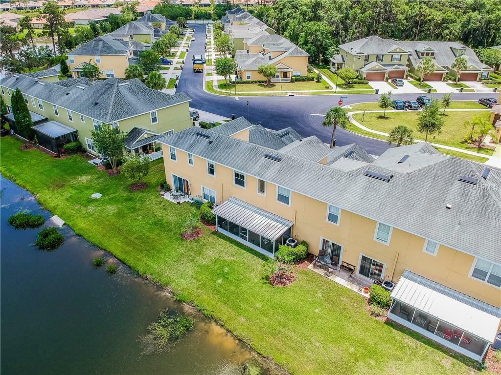 Property Photo: 20205 Indian Rosewood Drive FL 33647