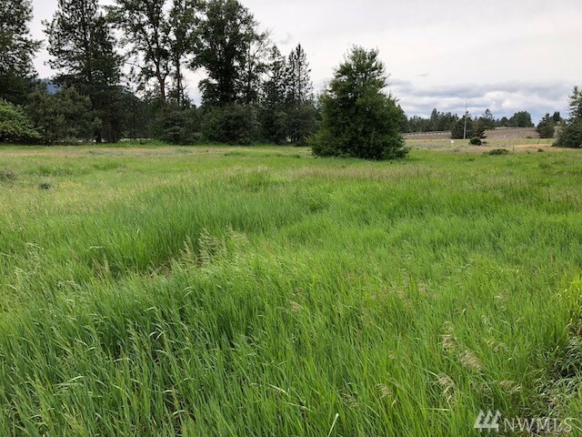 Property Photo:  Xxx Hwy 970  WA 98922 