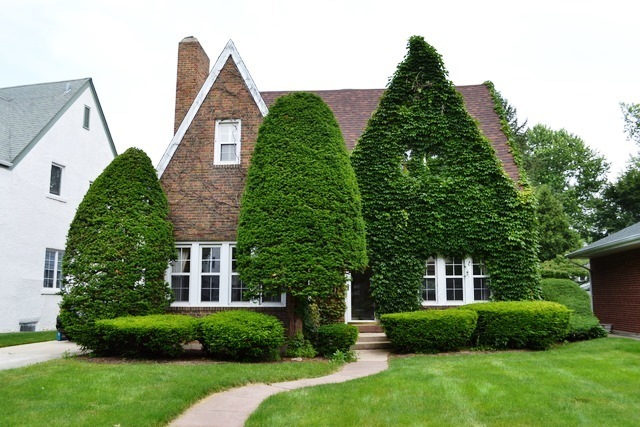 Property Photo:  231 North Park Boulevard  IL 60137 