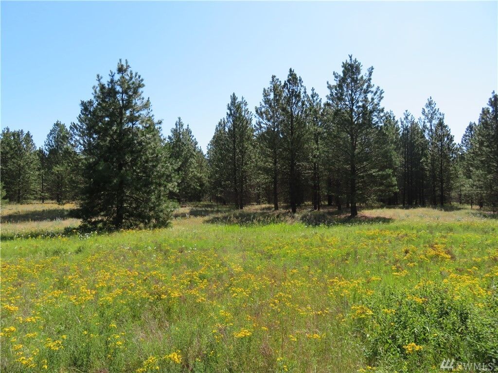 Property Photo:  Lot 1 Sourdough Flats Rd  WA 99166 