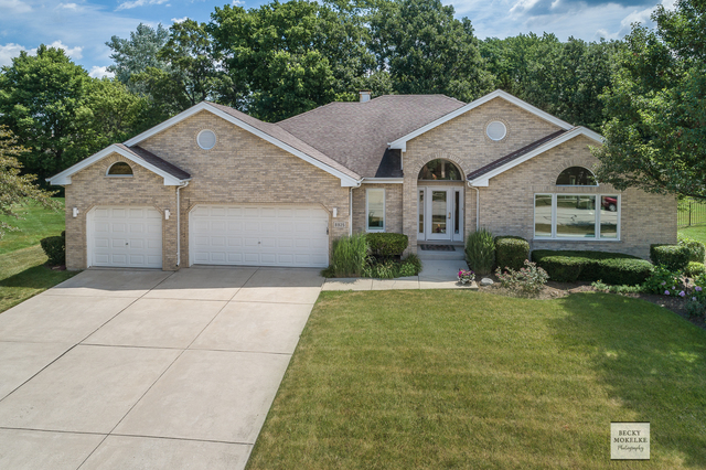 Property Photo:  8925 Kilkenny Drive  IL 60561 