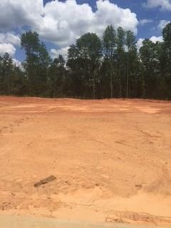 Property Photo:  314 Sliding Rock Drive Lot 208  SC 29670 