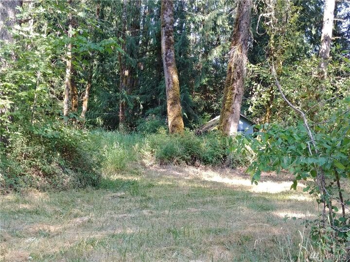 Property Photo: 0 Tiger Lily Place WA 98532