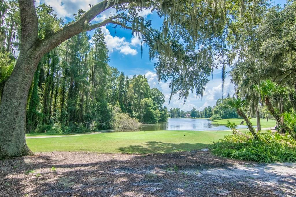 Property Photo:  16912 Villalagos De Avila  FL 33548 